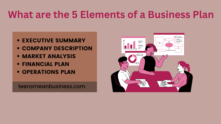 5 elements of a business plan