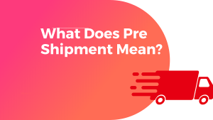 pre shipment meaning